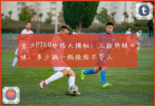 金沙PT60价格大揭秘，三款热销口味，多少钱一瓶抢购不等人