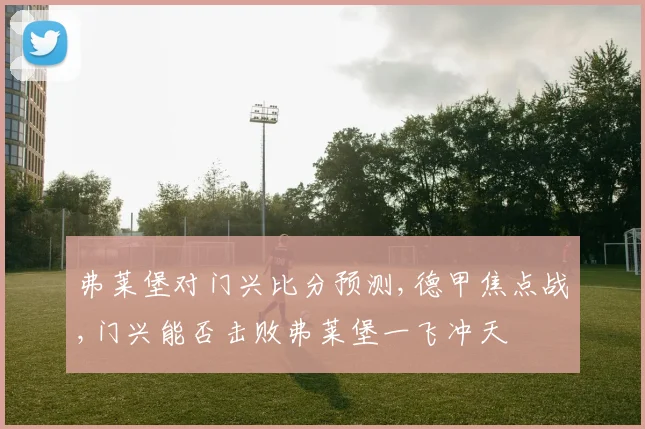 弗莱堡对门兴比分预测,德甲焦点战,门兴能否击败弗莱堡一飞冲天